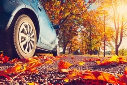 Les bons conseils d’automne pour l’entretien de votre voiture sans permis